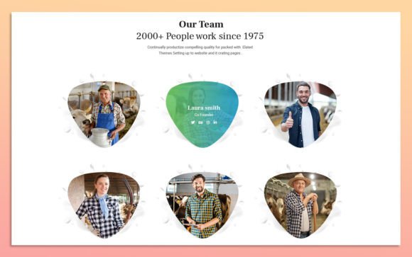 Mastering 19.Team Member Widget Design Elements for Professional Web Interfaces
